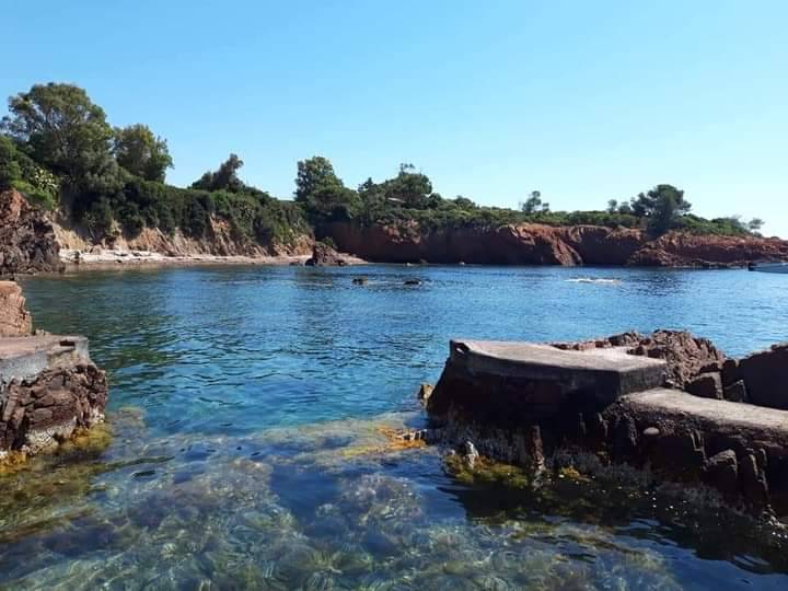 dispersion des cendres en mer à Cannes